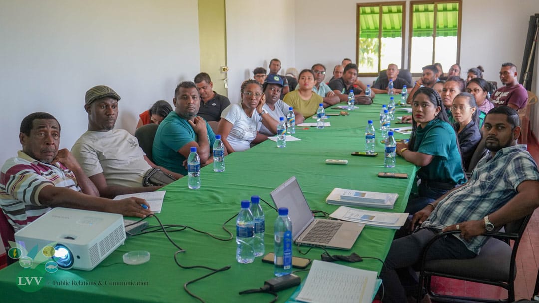 Read more about the article Coronie en Nickerie vrij van cassaveziekte heksenbezem