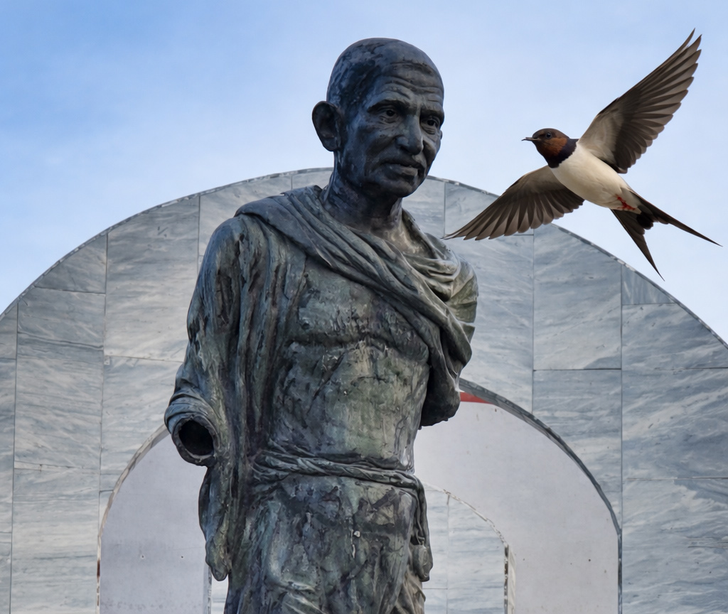 Read more about the article GANDHI EN DE ZWALUW