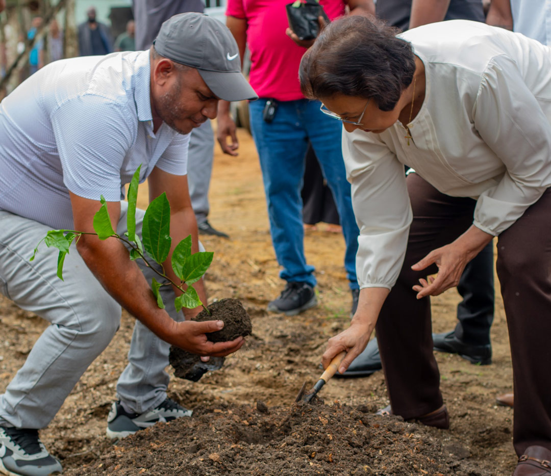 Read more about the article LVV lanceert Markoesa Outgrowers Project in Groningen