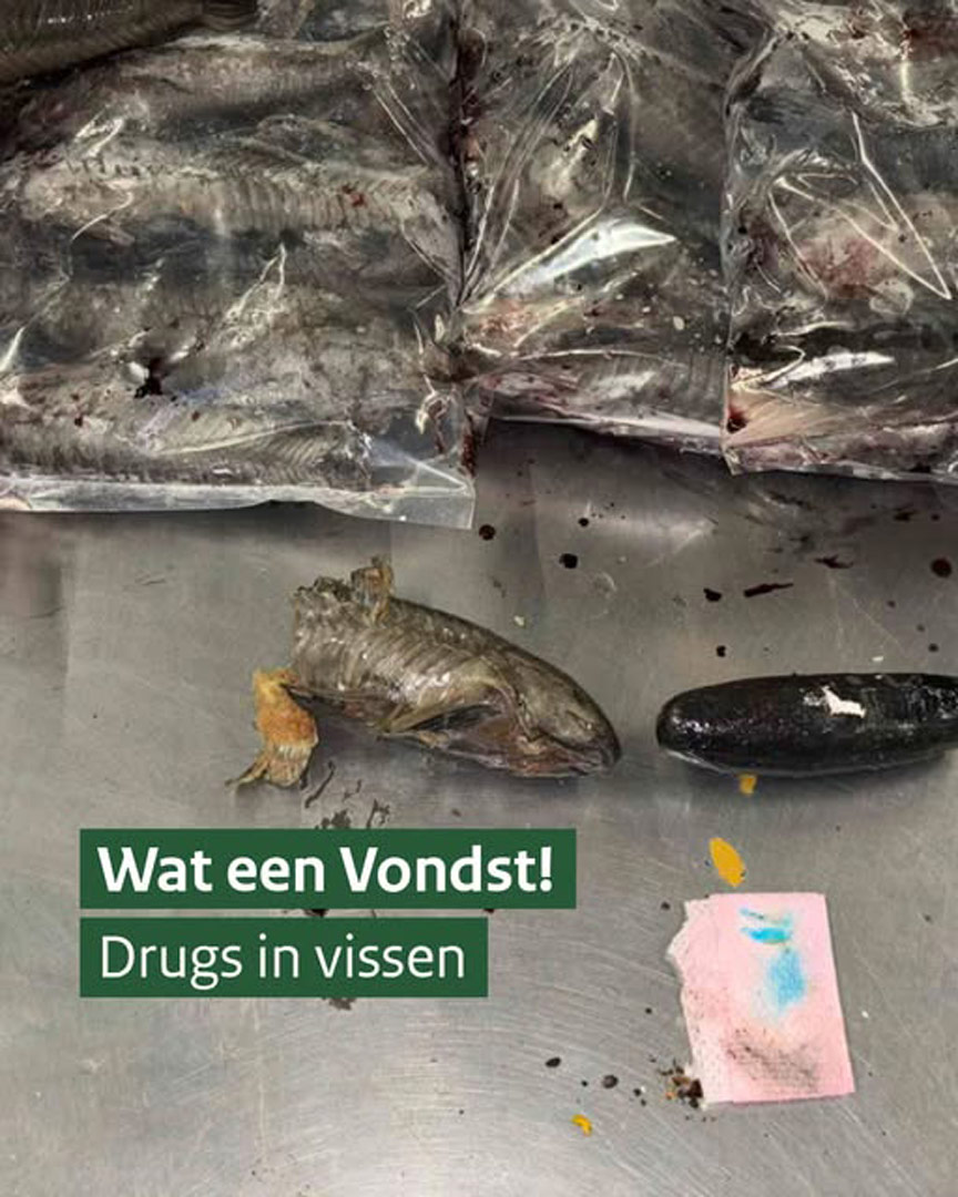 Read more about the article ZO LEK ALS EEN MANDJE