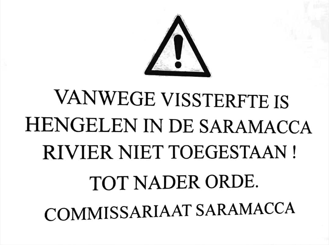 Read more about the article HET DUURT ALLEMAAL TE LANG
