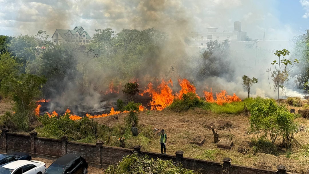 ontbossen-oranjetuin-begraafplaats-brand ontbossen-oranjetuin-begraafplaats-brand